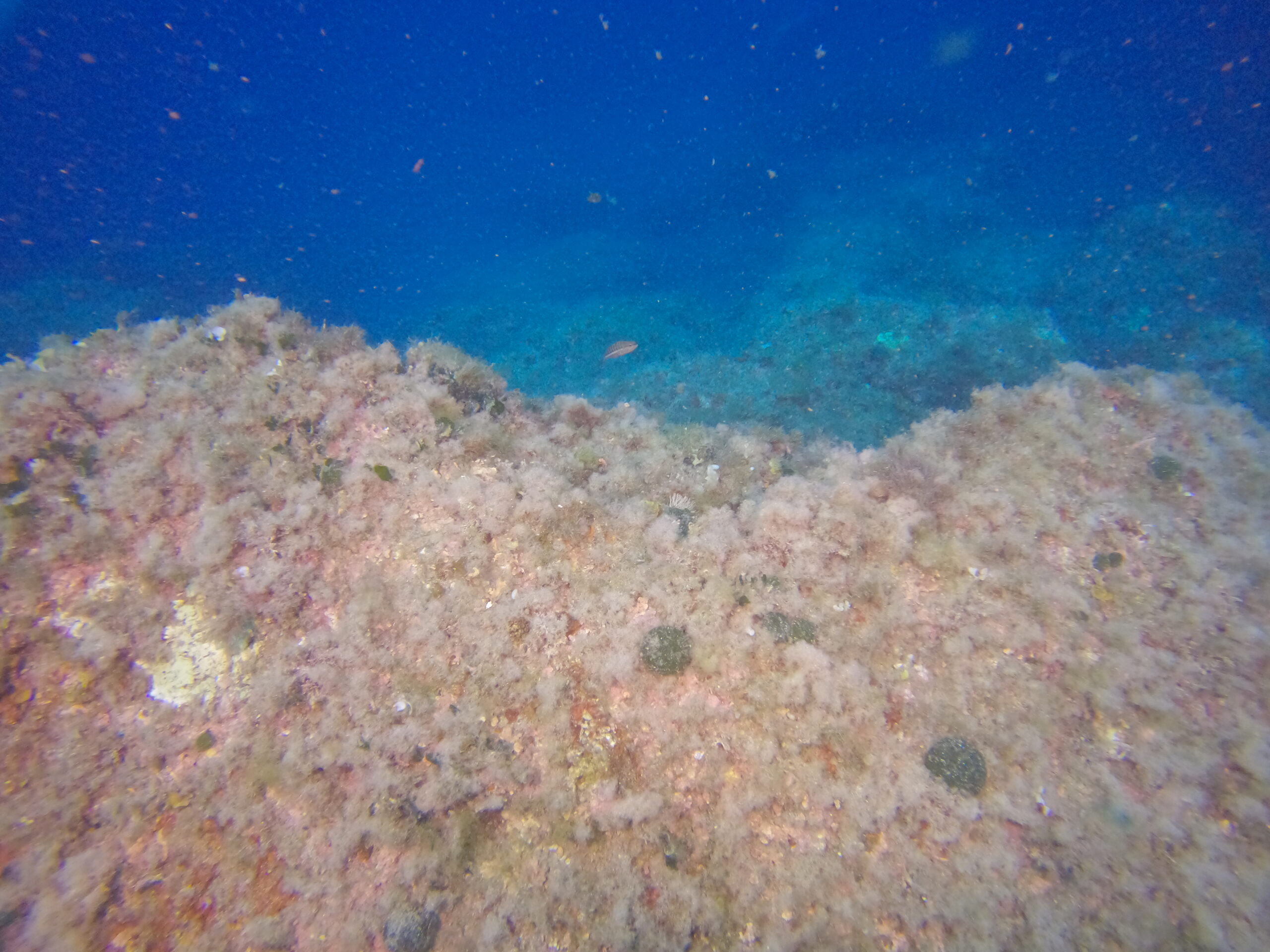 DCIM100GOPROGOPR0175.JPG